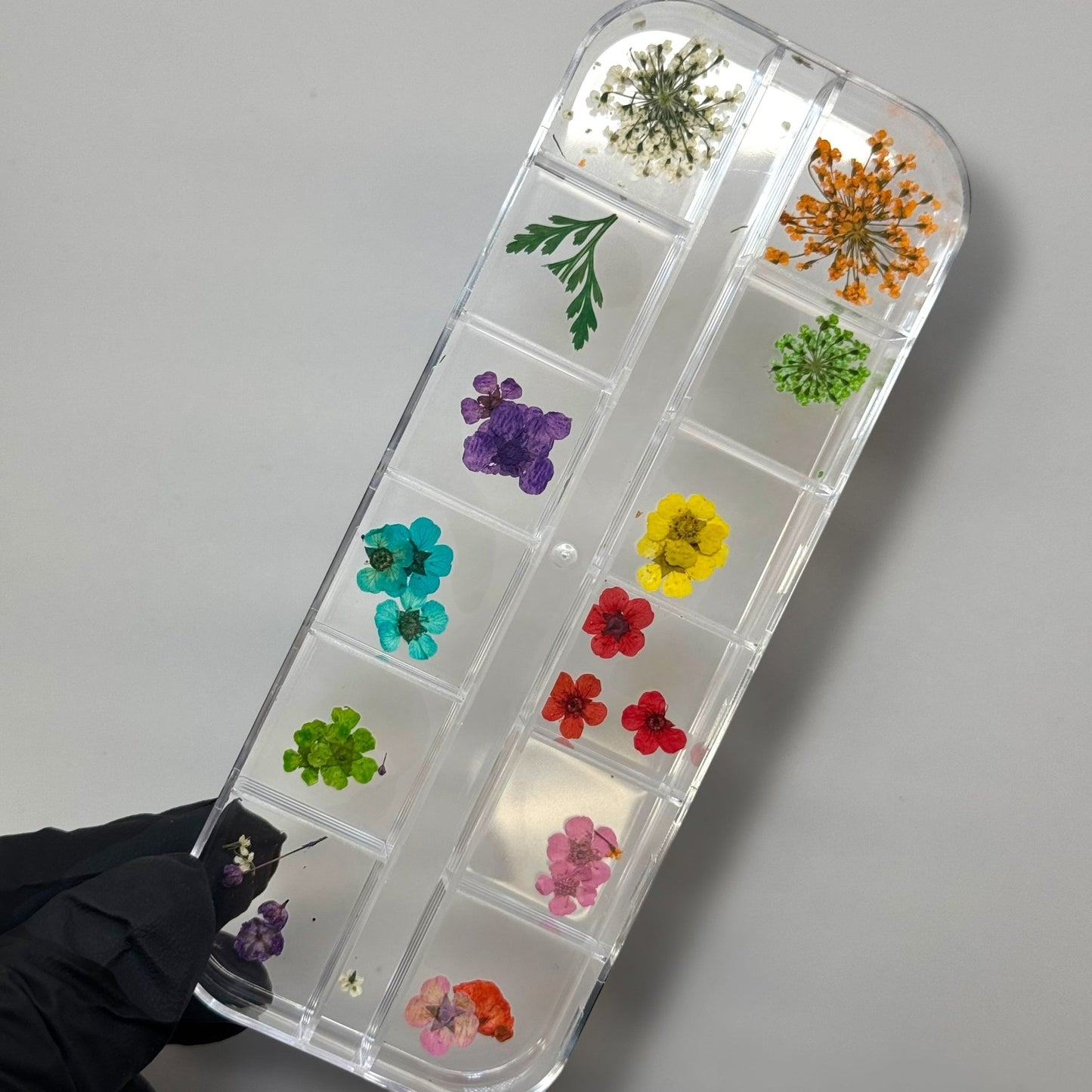 (C) Dried Flower Nail Art Box – 12 - Grid Mixed Real Pressed Dry Flowers - JTessentials