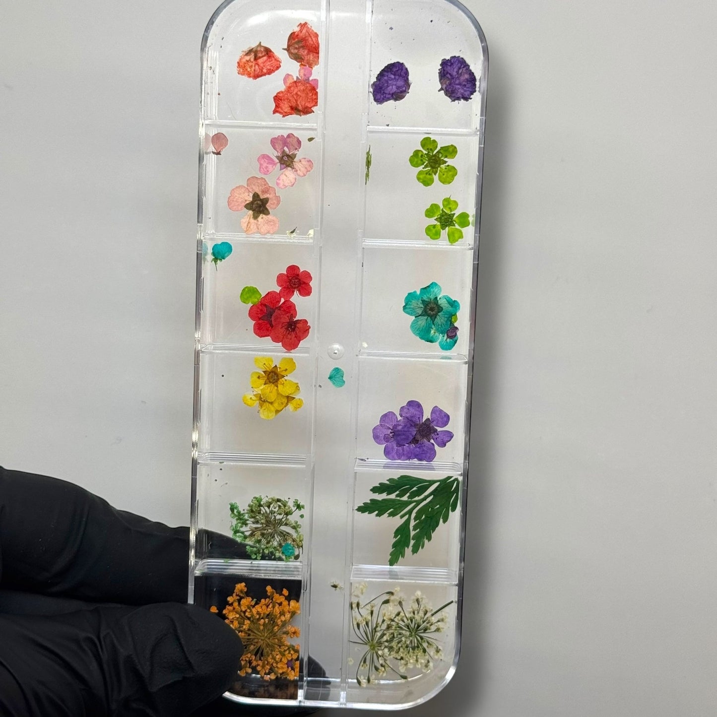 (C) Dried Flower Nail Art Box – 12 - Grid Mixed Real Pressed Dry Flowers - JTessentials