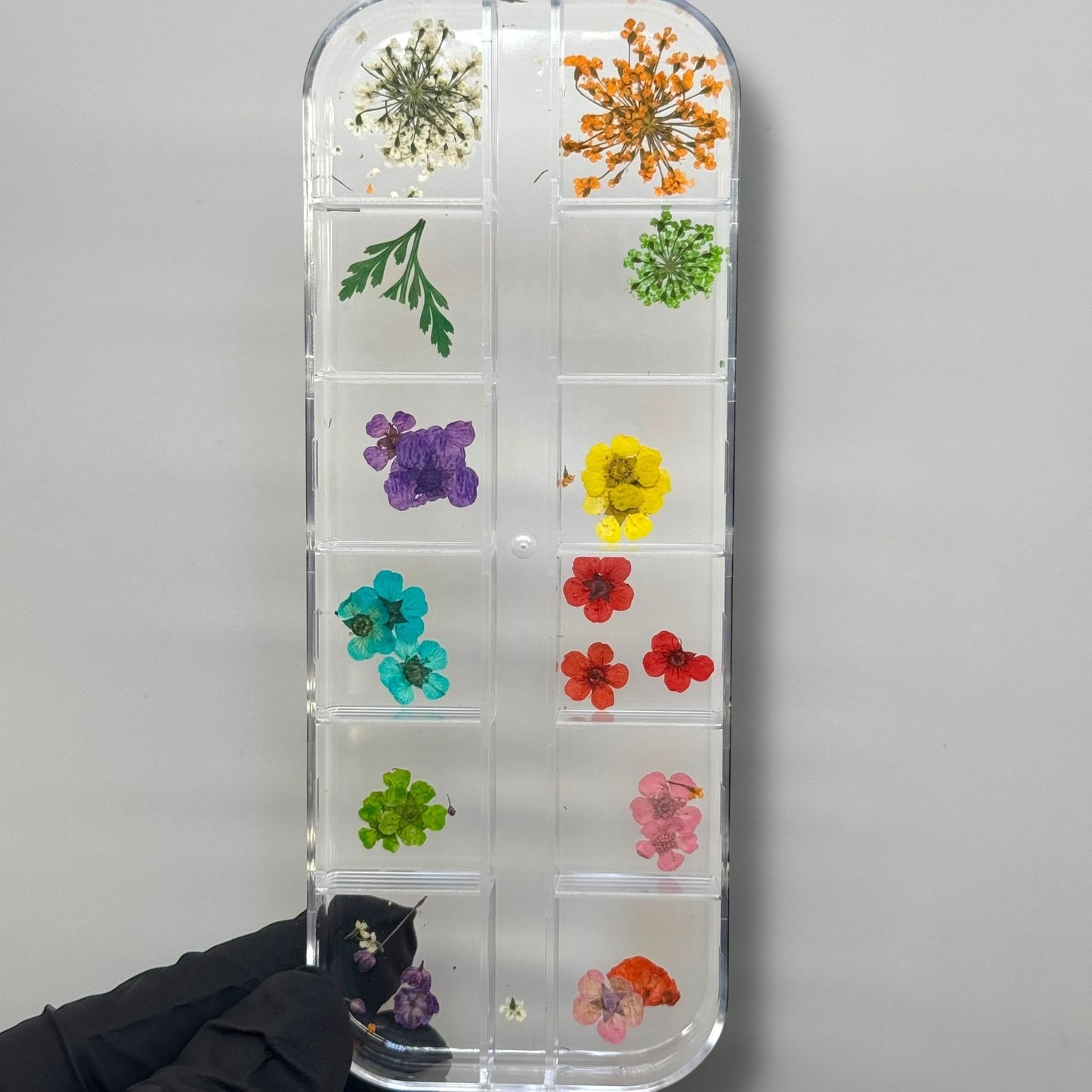 (C) Dried Flower Nail Art Box – 12 - Grid Mixed Real Pressed Dry Flowers - JTessentials