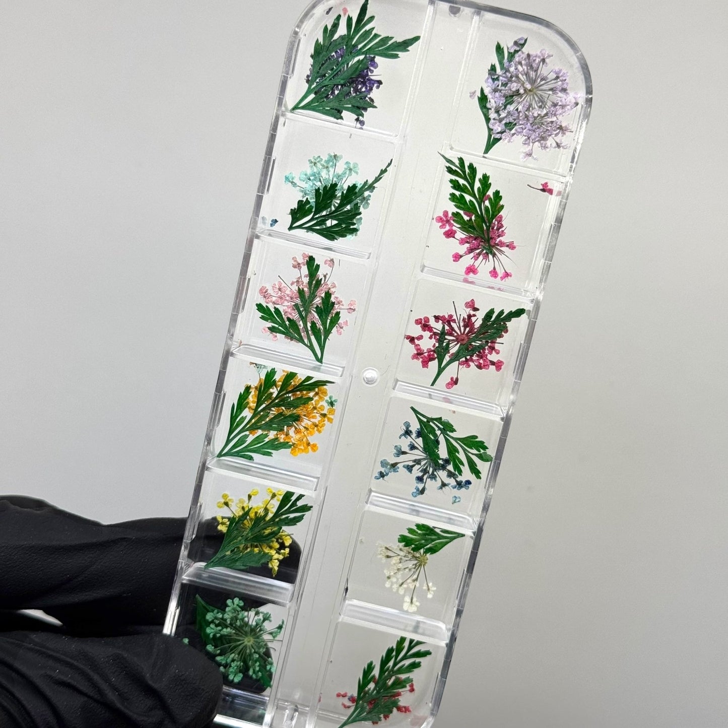 Dry Flower Box for Nail Art – Real Pressed Flowers for Elegant Nail Designs - JTessentials