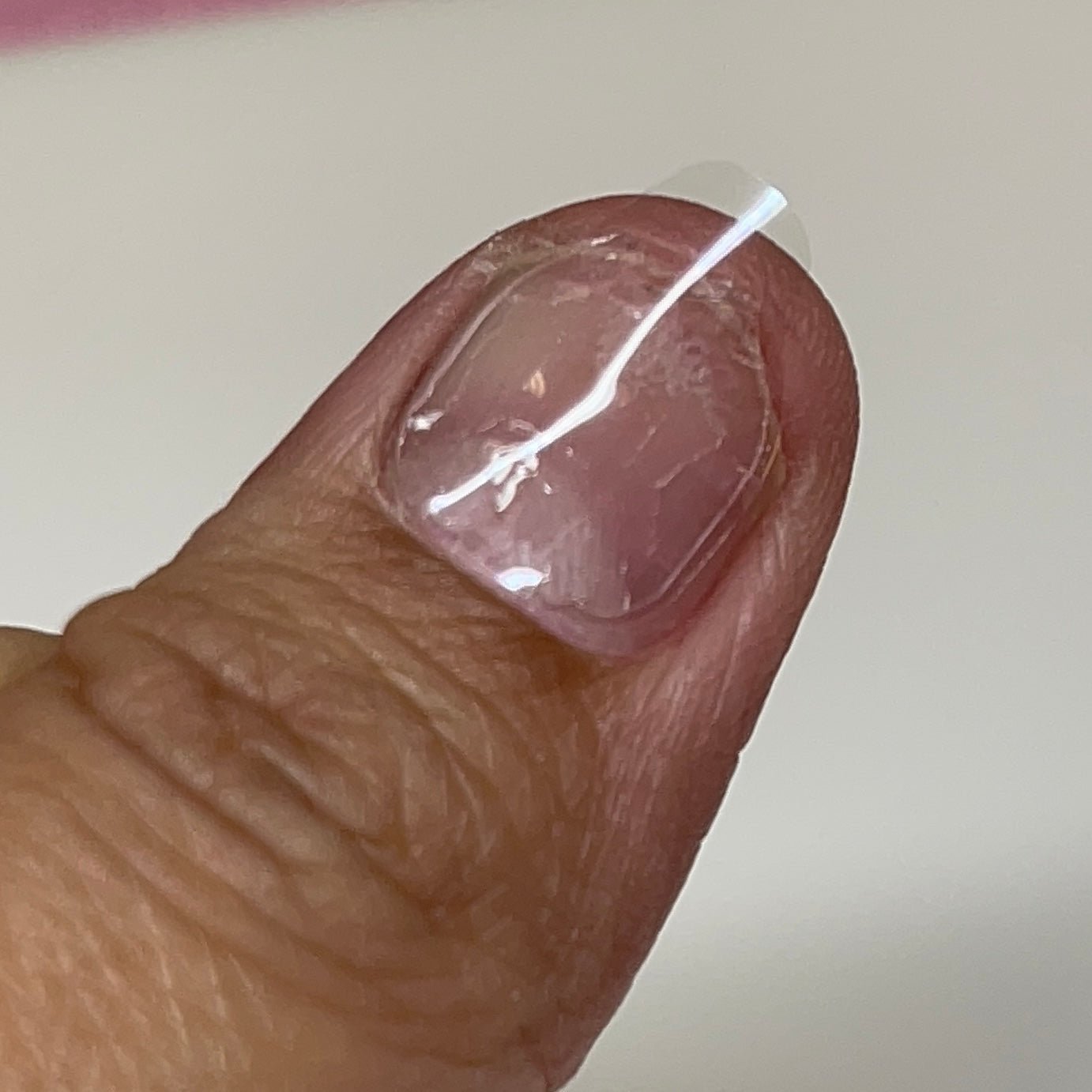 Nail sticky tab 240 pc - for press on - JTessentials