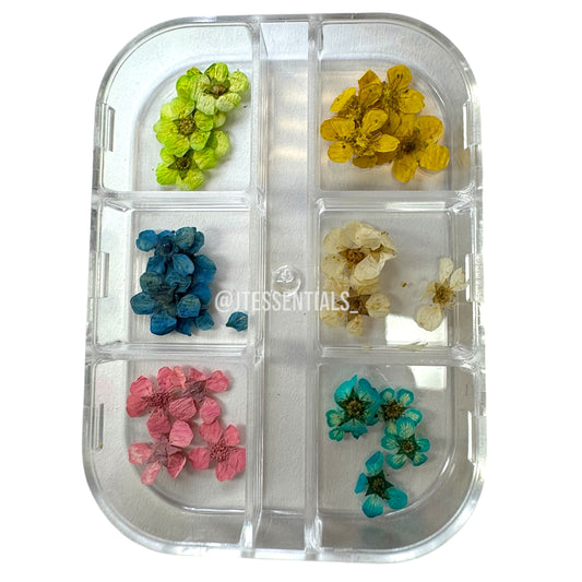 6-Color Dry Flower Nail Art Box – Floral Designs for Nail Decoration