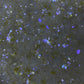 Chunky Glitter 02 - JTessentials