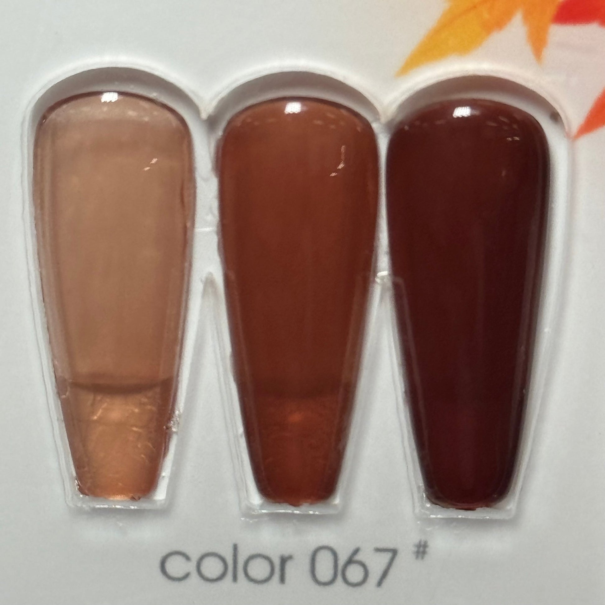 DM JELLY GEL POLISH COLORS - AUTUMN - JTessentials