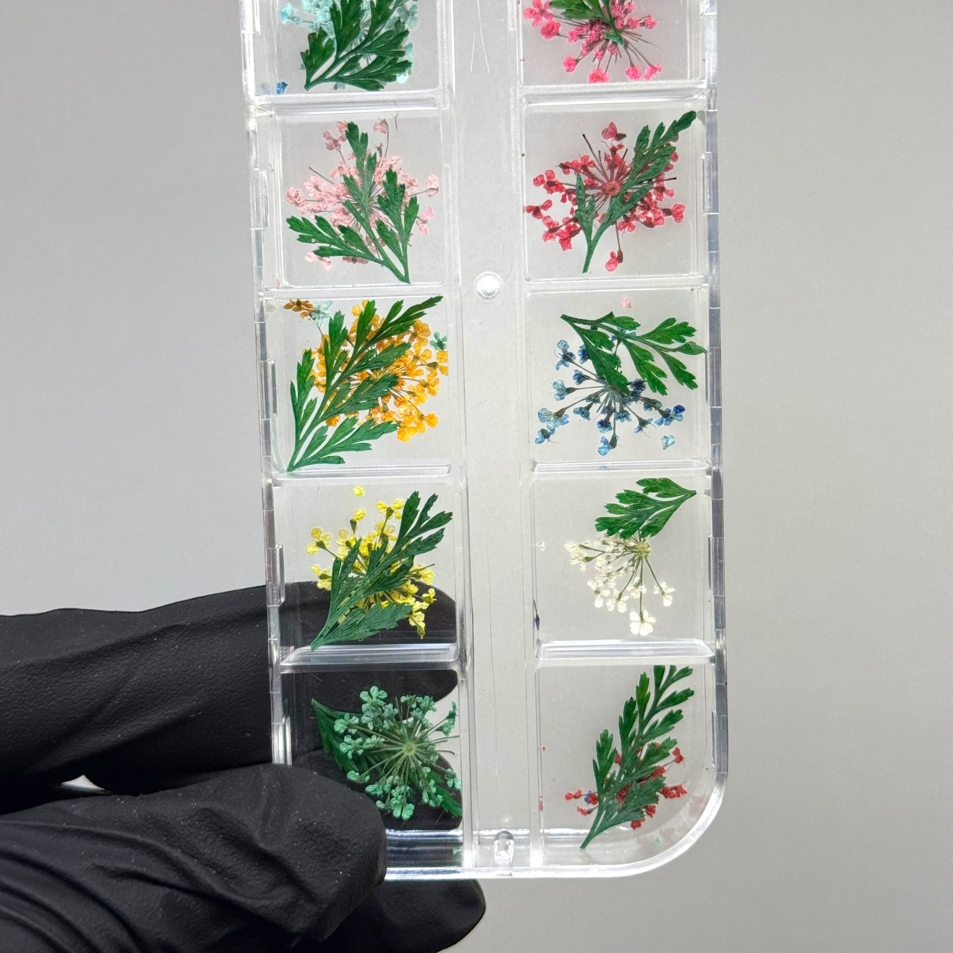 Dry Flower Box for Nail Art – Real Pressed Flowers for Elegant Nail Designs - JTessentials
