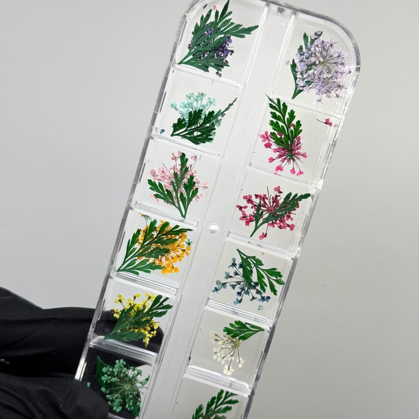 Dry Flower Box for Nail Art – Real Pressed Flowers for Elegant Nail Designs - JTessentials
