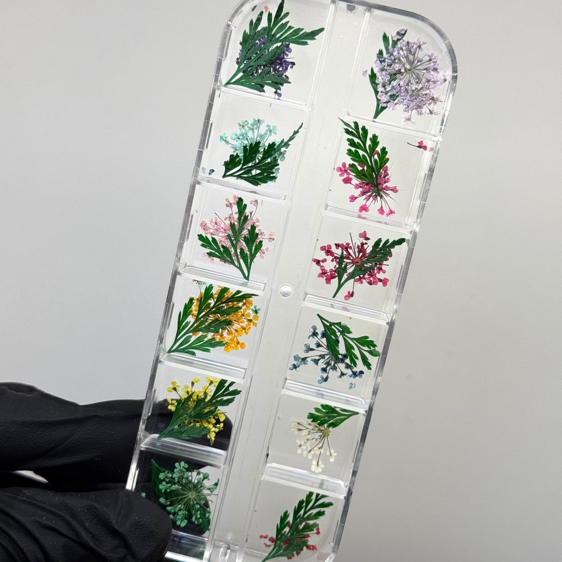 Dry Flower Box for Nail Art – Real Pressed Flowers for Elegant Nail Designs - JTessentials