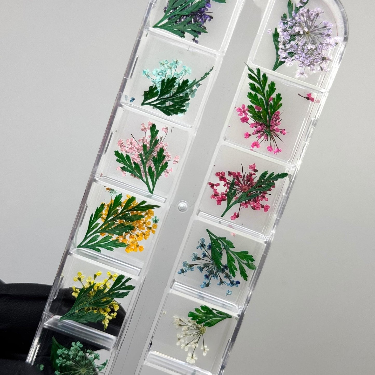 Dry Flower Box for Nail Art – Real Pressed Flowers for Elegant Nail Designs - JTessentials